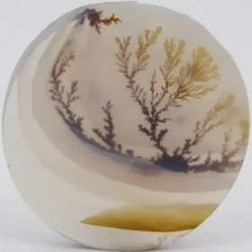 تصویر سنگ شجر کد 2301 