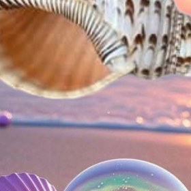 تصویر صدف طبیعی تریتون 