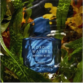 تصویر ادوپرفیوم مردانه نوردیک واترز اینفینیت بلو Nordic Waters Infinite Blue Eau de Parfum