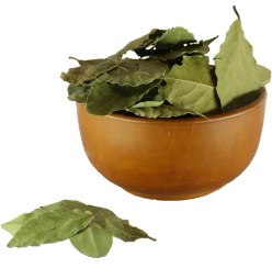 تصویر برگ بو 