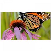 تصویر ویدئو وال سامسونگ55AH51D-A1 