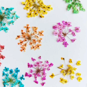 تصویر فروشگاه کافه رزین