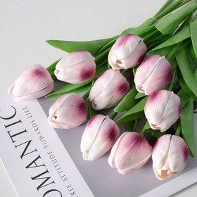 تصویر گل لاله کد V133 