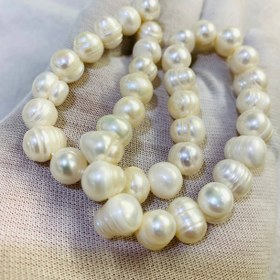 تصویر ریسه مرواريد پرورشى 