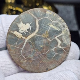 تصویر نگین کلکسیونی سنگ طبیعی سپتارین معدنی مراکش کد 34524 