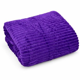 تصویر پتو مسافرتی پلیسه ۲ نفره برند Black Eagle 