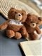 تصویر کاور ایرپاد Teddy Bear قهوه ای 