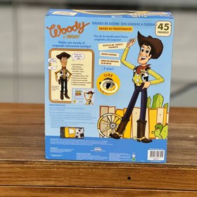 تصویر فیگور وودی سخنگو 