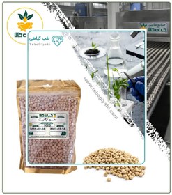 تصویر نخود ارگانیک 