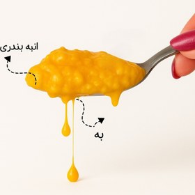 تصویر رب به انبه 