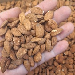 تصویر مغز بادام ایرانی(محلی) 