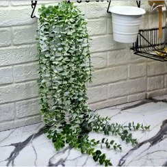 تصویر شمشاد ۱۶ شاخه برفی‎ 