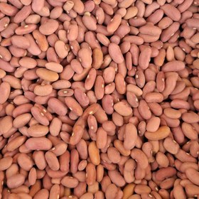 تصویر لوبیا کپسولی یک کیلو 