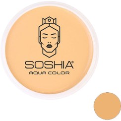 تصویر کرم گریم فشرده سوشیا مدل BC203 (عسلی طبیعی) Soshia make-up cover cream