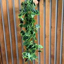 تصویر آویز گل مصنوعی پتوس تیره 