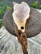 تصویر تخته سرو 