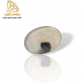 تصویر ,نگین شجر تک درخت (کد ۶۲) 