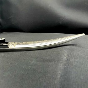 تصویر قیچی اصلاح حیوانات قیچی منحنی 