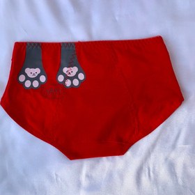 تصویر شورتکس 