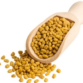 تصویر تخم شنبلیله 