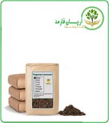 تصویر بذر اسپند خشک فله 