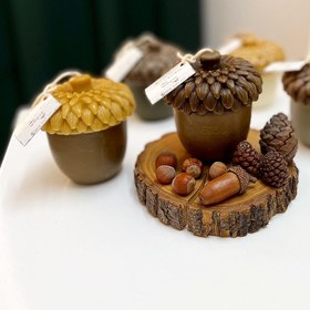 تصویر شمع بلوط 