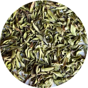 تصویر فروشگاه زیبار