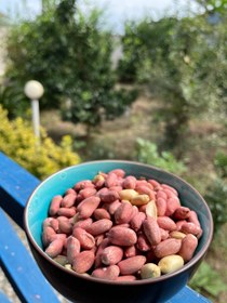 تصویر بادام زمینی بادام محلی شیرین تازه برشته