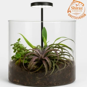 تصویر فروشگاه شیراز ویواریوم