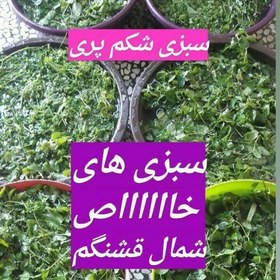 تصویر سبزی شکم پری شمال 