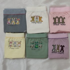 تصویر شورت خرگوشی 