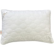 تصویر بالش هیوا فونیکس 