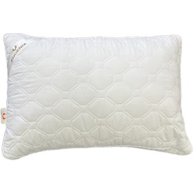 تصویر بالش هیوا فونیکس 