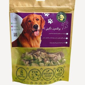 تصویر بوقلمون نگینی 