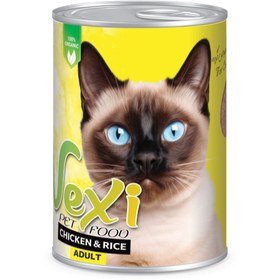 تصویر کنسرو پته ای گربه وکسی طعم مرغ و برنج 400 گرمی VEXI Cat adult With chicken 400 ML