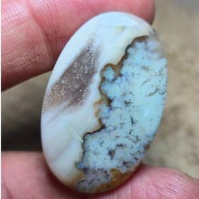 تصویر شجر سایز بزرگ 