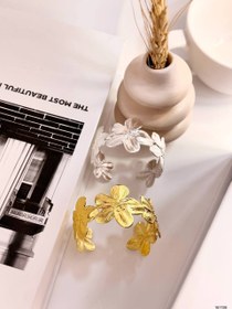 تصویر بنگل پینترسی 