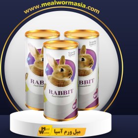 تصویر غذای خرگوش 