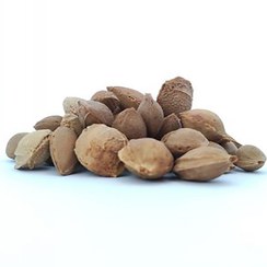 تصویر هسته شیرین زردآلو خرید هسته شیرین زردآلو مرند | درشت، تازه، طبیعی و درجه یک – ارسال سریع از آلارسان