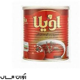 تصویر رب گوجه فرنگی اویلا 1 کیلوگرمی در بسته بندی 12 عددی 