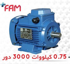 تصویر الکتروموتور سه فاز 0.75 کیلووات 3000 دور فریم آلومینیومی موتوژن three-phase electric motor 0.75KW 3000 RPM with Aluminum frame Motogen