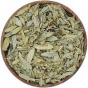 تصویر برگ سنا 