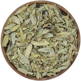 تصویر برگ سنا 