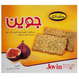 تصویر بیسکویت جوین گرجی باطعم شیره انجیر و آرد جو مقدار 920 گرم Gorji Jovin Biscuit 920 gr