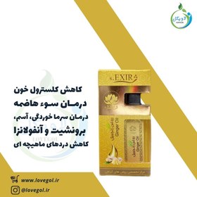 تصویر روغن زنجبیل 55 میلی لیتر 