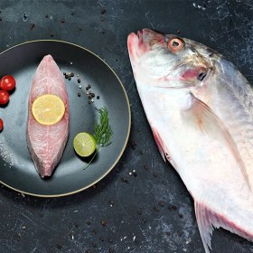 تصویر ماهی صافی مقوا (جش سفید) 