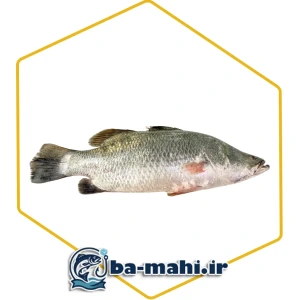 تصویر فروشگاه با ماهی