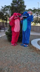 تصویر پتو استیج تنپوش 