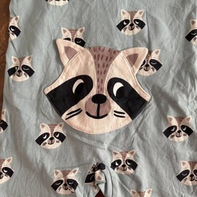 تصویر سرهمی لیندکس 