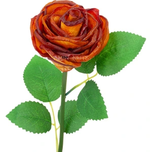 تصویر فروشگاه آجیل امین